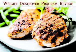 weight destroyer review